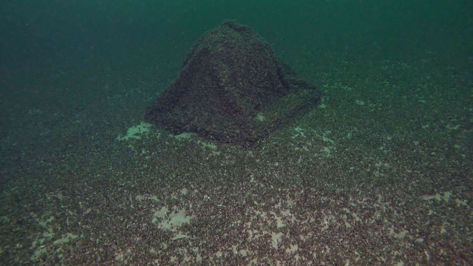 Gin Kugel Bodensee: Versenkt, verschwunden, wiedergefunden